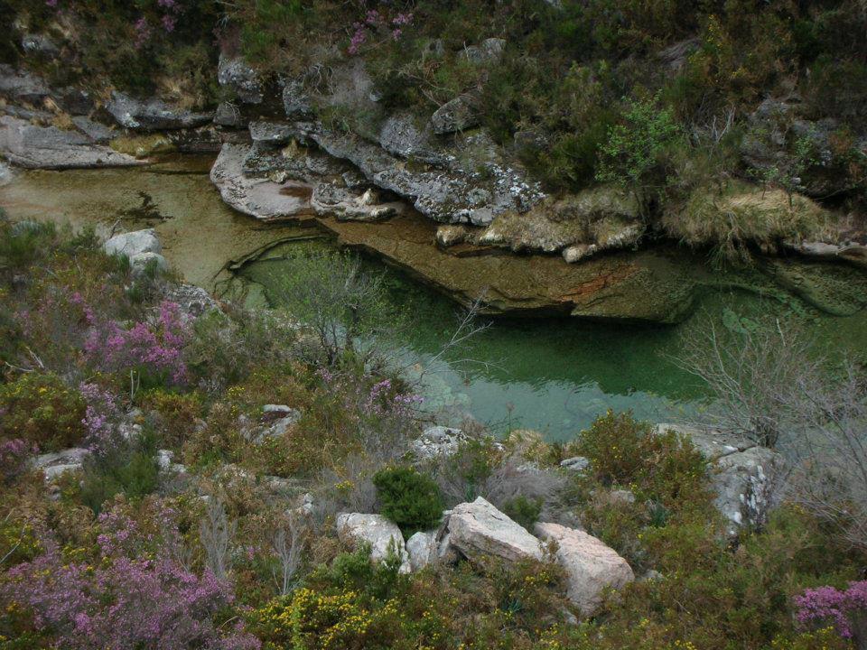 Pension As Termas Bubaces 外观 照片
